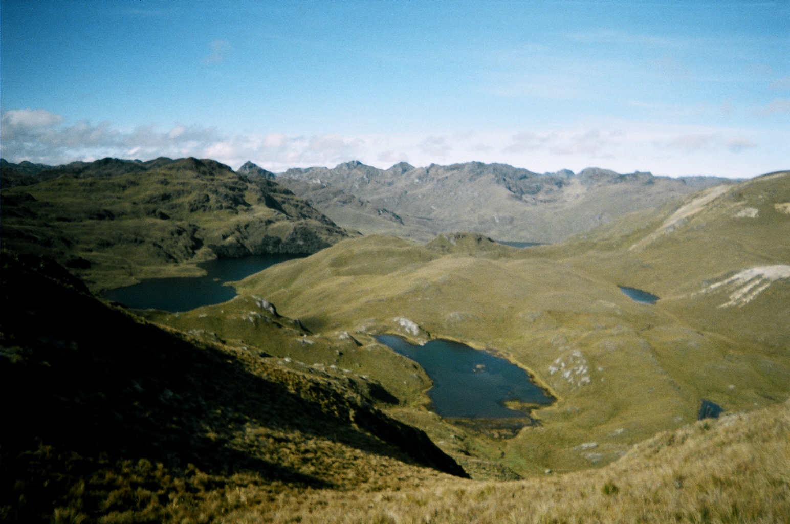 cajas